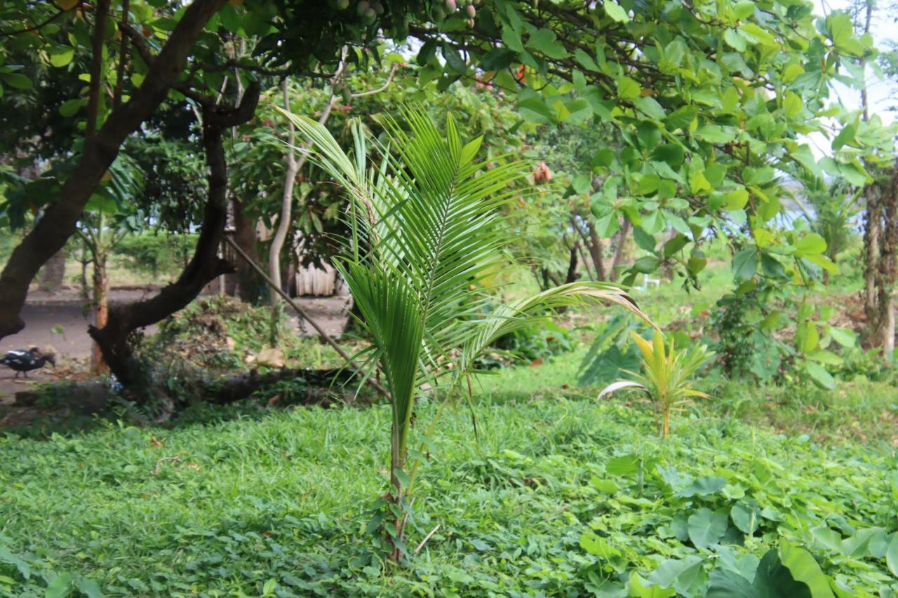 Hotel La Sirenita - Ometepe Altagracia Zewnętrze zdjęcie