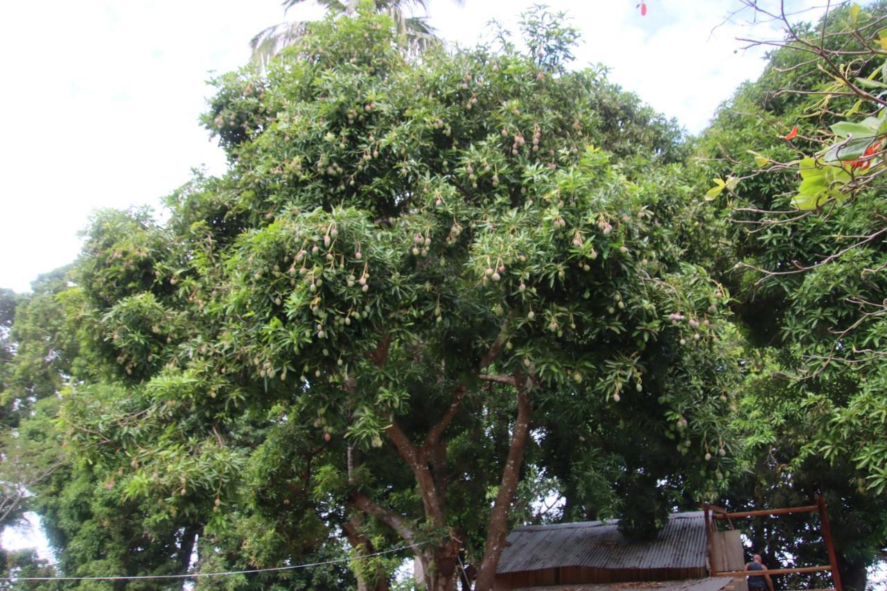 Hotel La Sirenita - Ometepe Altagracia Zewnętrze zdjęcie