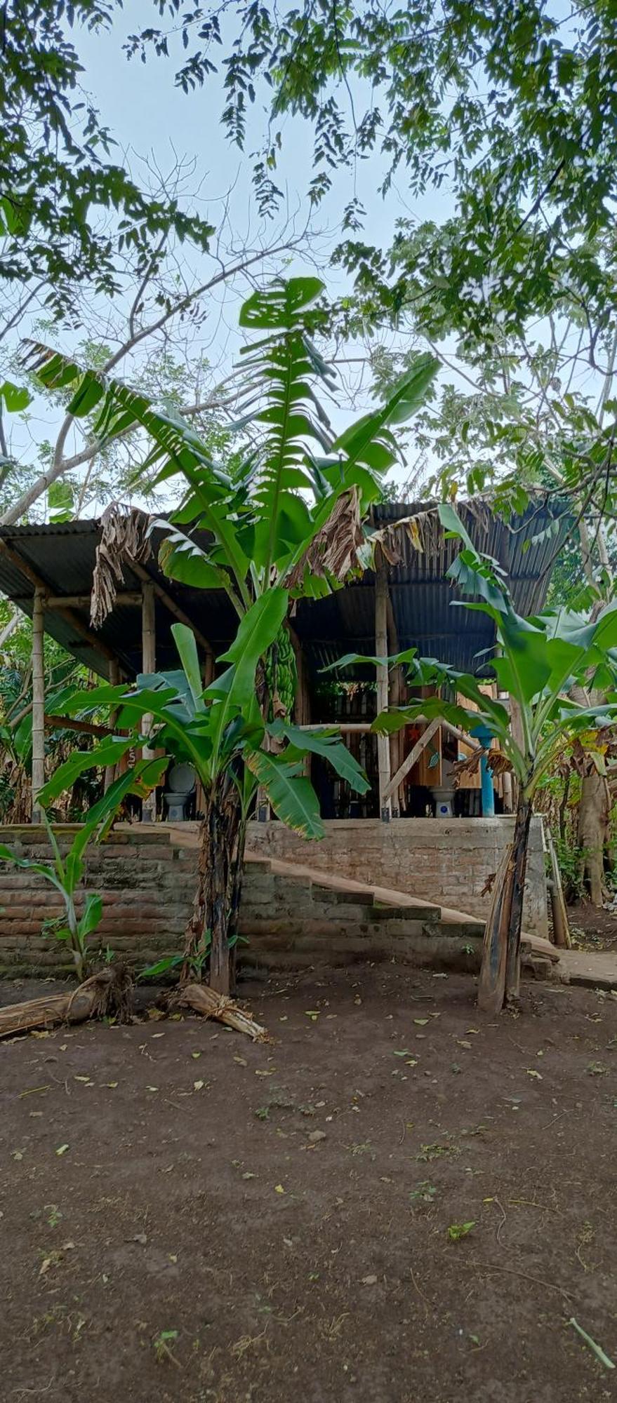 Hotel La Sirenita - Ometepe Altagracia Zewnętrze zdjęcie